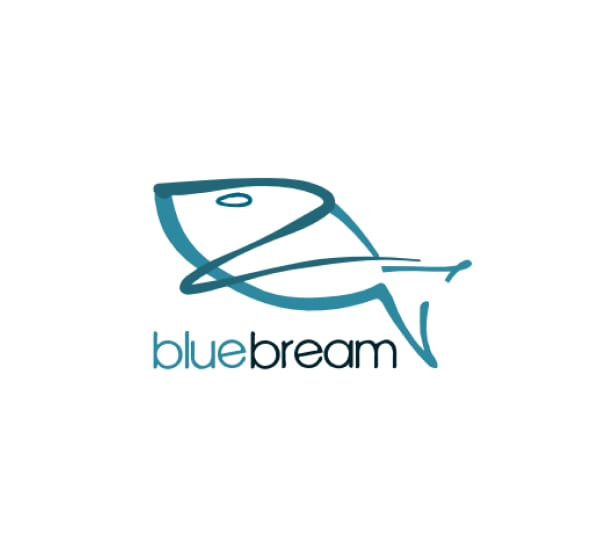 Thumbnail of bluebream-opensource-identity.png