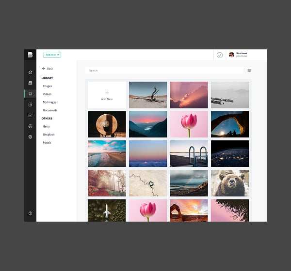 Thumbnail of quintype-bold-cms-media-gallery.png